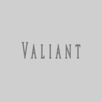 Album cover for Valiant (feat. Angriffsbeat) by DIDKER