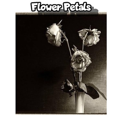 Flower Petals (2021) - Single
