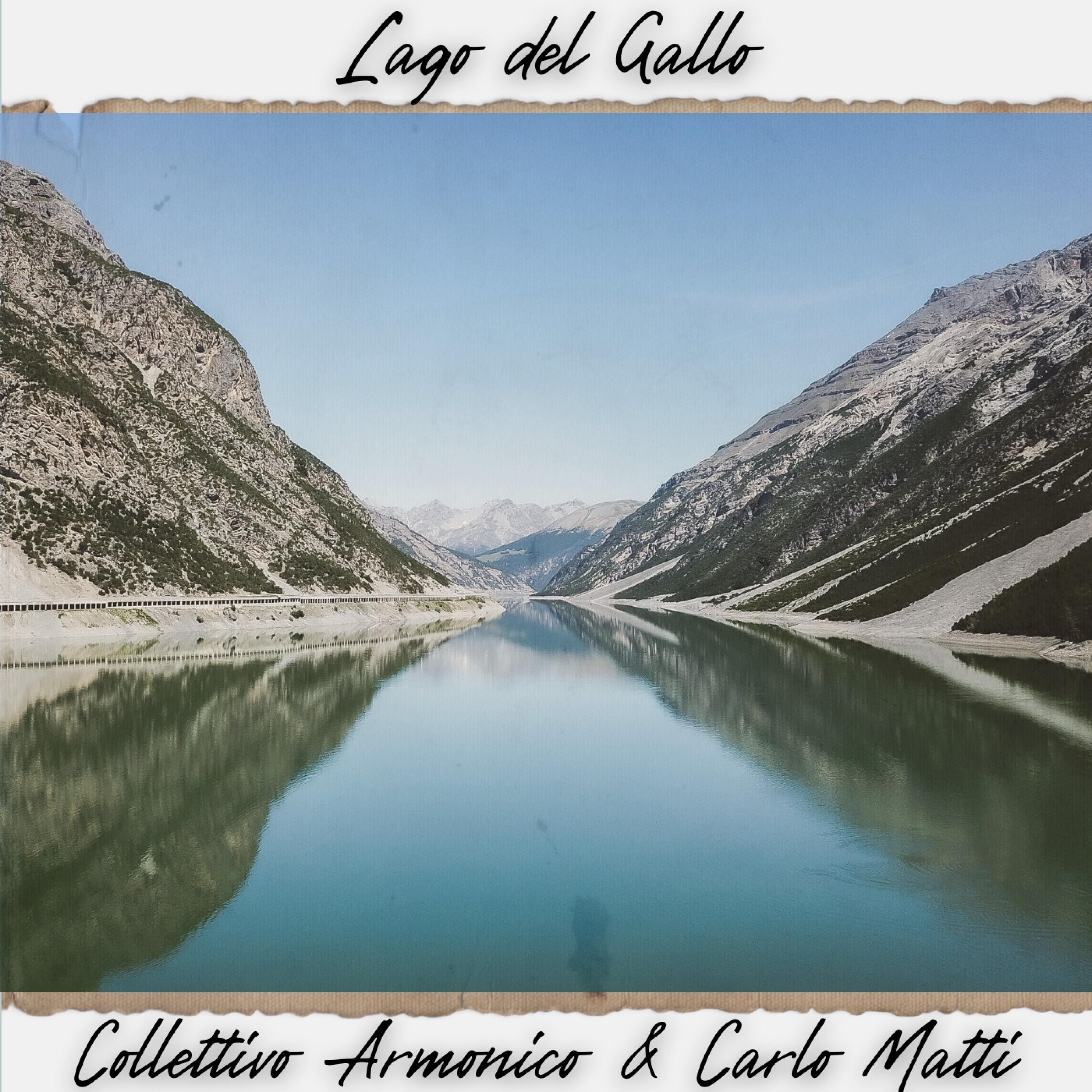 Lago del Gallo - Single