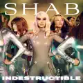 Indestructible