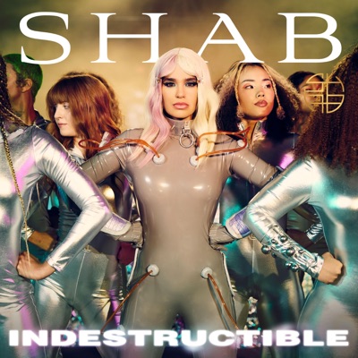 Indestructible - Single