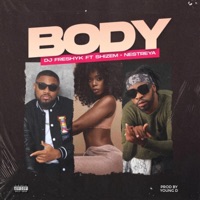 Body (feat. Shizem & Nestreya) - Single - DJ Freshyk