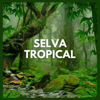 Selva Tropical (P01) - Sonidos de la Selva