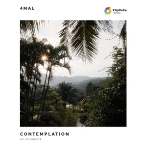 Contemplation - Single