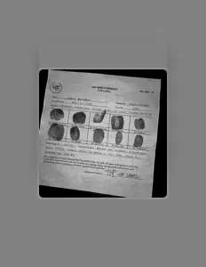 收听 TSP the Label、观看音乐视频、阅读小传、查看巡演日期等 ！