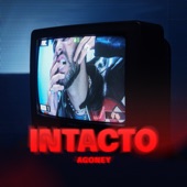 Intacto artwork