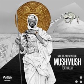 MushMush (feat. Wa-lead) artwork