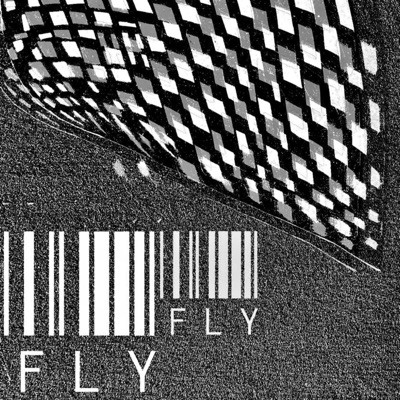 FLY FLY/FLY FLY Rnb (Remix) - Single