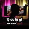 Lý Do Là Gì (AM Remix) [feat. DJ Am] - Single