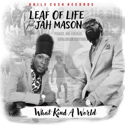 What Kind a World (feat. Jah Mason) - Single