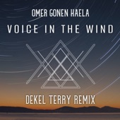 A Voice in the Wind (Dekel Terry Remix) artwork