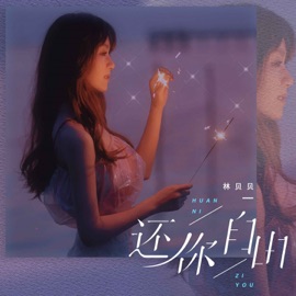 还你自由 (DJ德朋版) 林贝贝