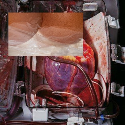 Dead Kids Experiment - Single