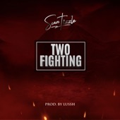 Two Fighting artwork