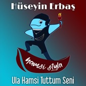 Ula Hamsi Tuttum Seni (Hamsi Stayla) artwork