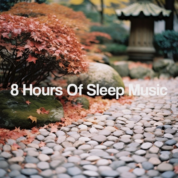 8 Hours of Sleep Music