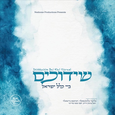 Shidduchim Bai Klal Yisrael (feat. Yoel Binyamin Weiss)