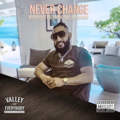 Never Change (feat. Valley Droop) - Single