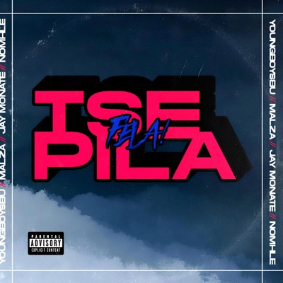 Tse pila fela (feat. Sduminator, Malza, Jay Monate & Nomhle) - Single