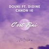 C'est fini (feat. Didine Canon 16) - Single