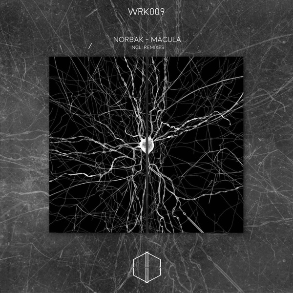 Macula - EP