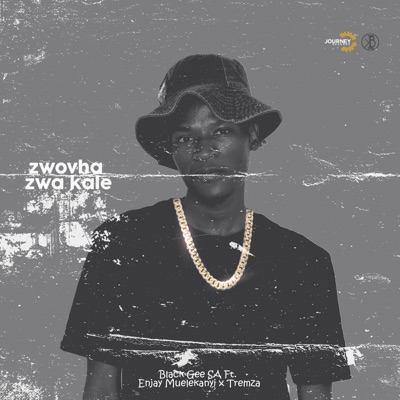 Zwovha Zwa Kale (feat. Enjay Muelekanyi & Tremza) - Single