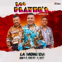 La Moneda Está en el Aire - Single - Los Player's de Tuzantla