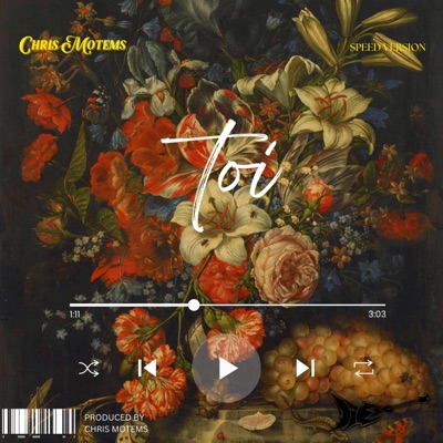 Chris motems - TOI (Speed version)