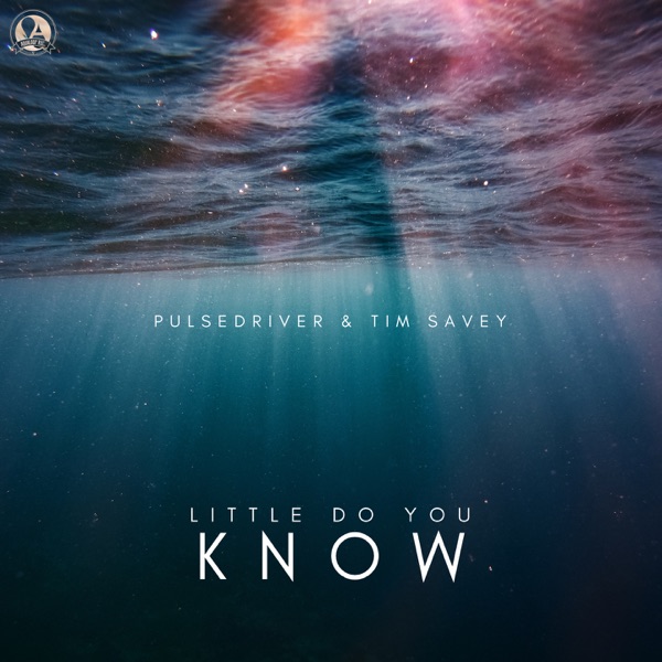 Little Do You Know - Single