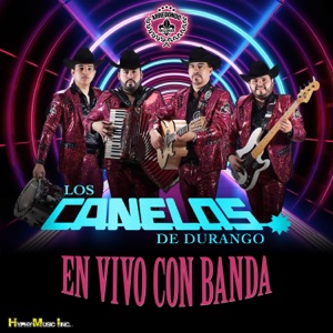 Que Quieres Volver (En Vivo)