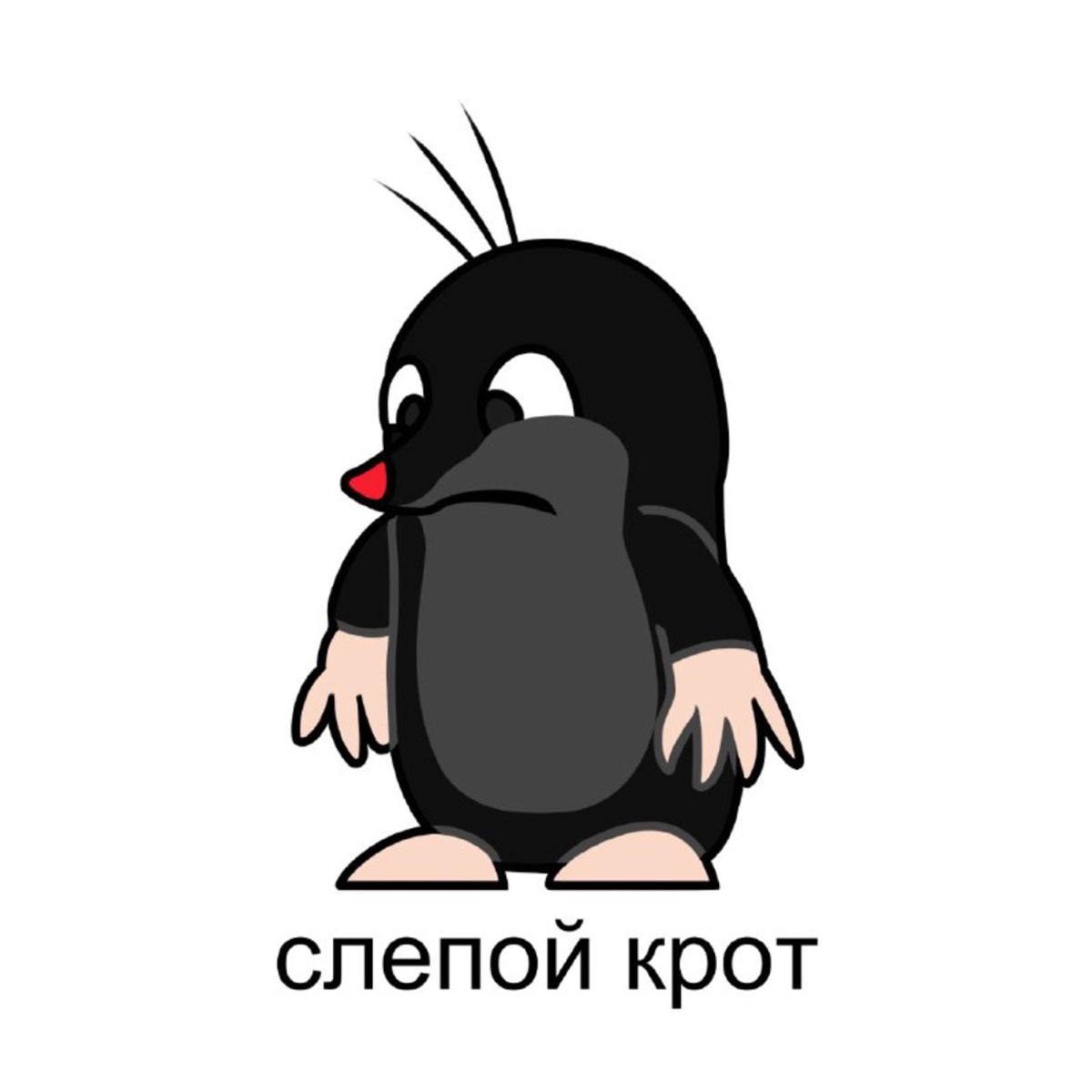 Крот в очках
