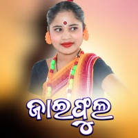 Second Hand Lover - Single - Jasobanta Sagar