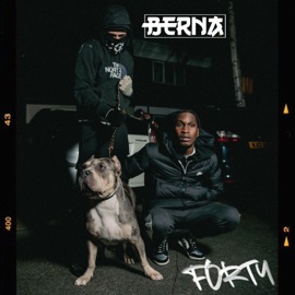 Forty BERNA