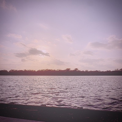 Love - Single