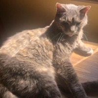 similarities (feat. Earth2Athena) - Single - Blospar