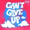 Can't Give Up artwork