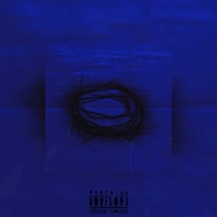 Cuckoo's Nest - Single - David Lopez & Heyzeus