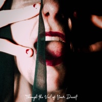 Through the Veil of Your Deceit - Single - Beyond Your Design