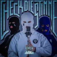 CHECK DIE STIMME - Single - LBZ
