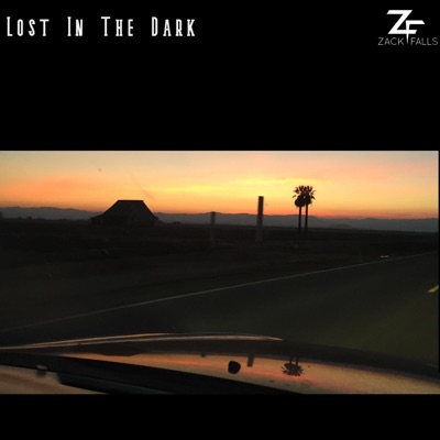 Lost In the Dark - Single