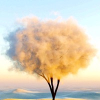 Star <3 - Single - luvaudii