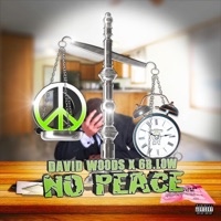 No Peace (feat. 6B.Low) - Single - David Woods