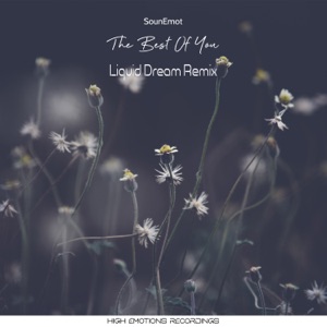 The Best of You Remixed (Liquid Dream Remix) - Single