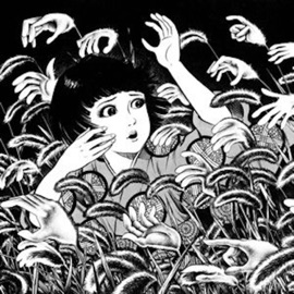 Sokushinbutsu Kodice V, Omen, Mite, STEP, Moyis & Larc