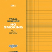 No Smoking (T>I Remix) artwork