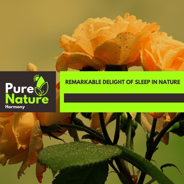Remarkable Delight of Sleep in Nature