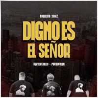 Digno Es El Señor - Single (feat. Puchi Colón & Kevin Ceballo) - Single - Orquesta Xariz