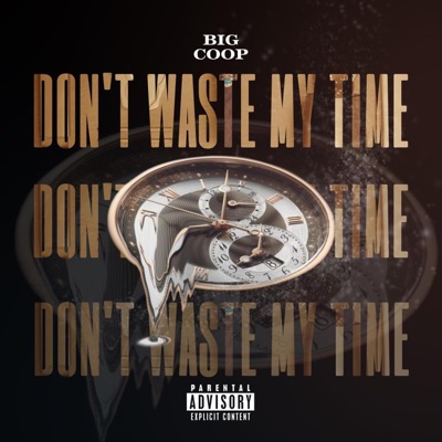 Dont Waste My Time - Single