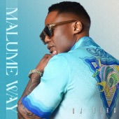 Malume Way artwork