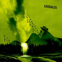 Caudales - Single - Maldito Hard & Franuli